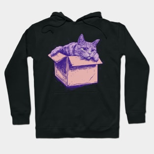 If It Fits I Sits --- Cat Lover Design Hoodie